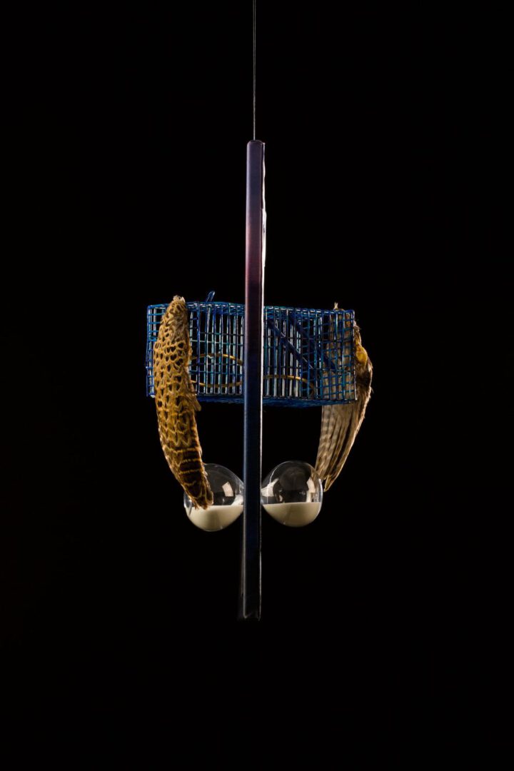 Objekte 18 3.d für OBJEKTE Vanitas II